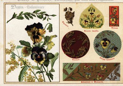 Imágenes de pensamientos y mimosas en manuscritos y su aplicación de Ernest Guillot