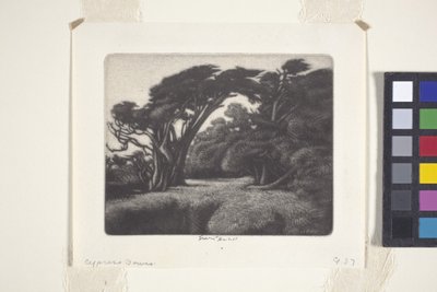 Enramada de cipreses (mezzotinta) de Ernest Haskell