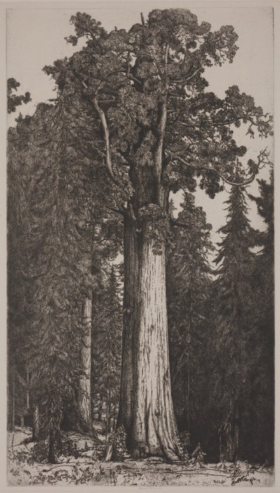 General Sherman de Ernest Haskell