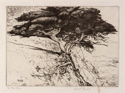 El árbol de los abanicos de Ernest Haskell