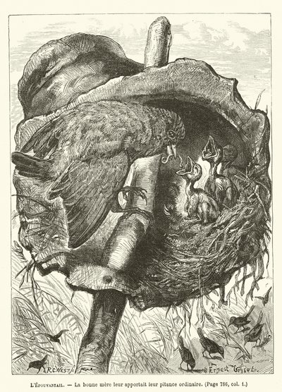 El Espantapájaros, La buena madre les traía su comida ordinaria de Ernest Henry Griset