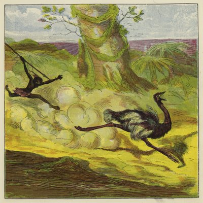 Hombre cazando un avestruz de Ernest Henry Griset