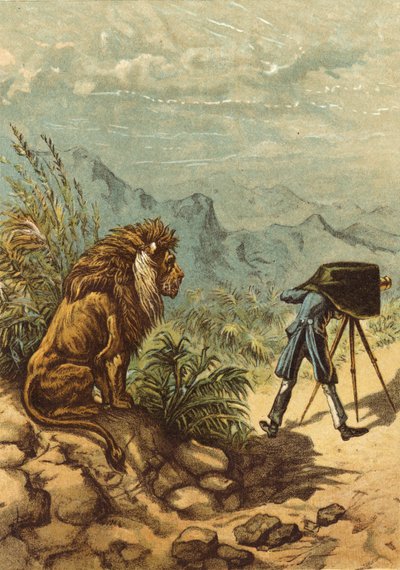Perspectiva prometedora, león observa al fotógrafo de Ernest Henry Griset