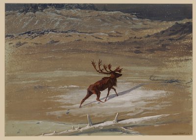 Ciervo, 1871 de Ernest Henry Griset