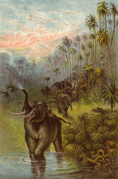 Atardecer en los trópicos de Ernest Henry Griset