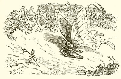 La hormiga y la crisálida de Ernest Henry Griset