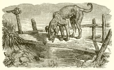 El Perro y su Sombra de Ernest Henry Griset