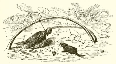 El cazador y la alondra de Ernest Henry Griset