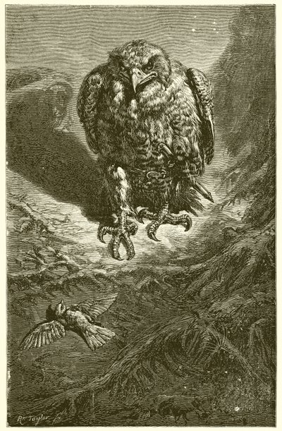 El halcón y el ruiseñor de Ernest Henry Griset