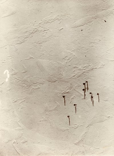 Mirando desde el globo a través de la meseta hacia el "Discovery" (1901). Del álbum de Sir Ernest Henry Shackleton titulado National Antarctic Expedition (1901-1903). de Ernest Henry Shackleton