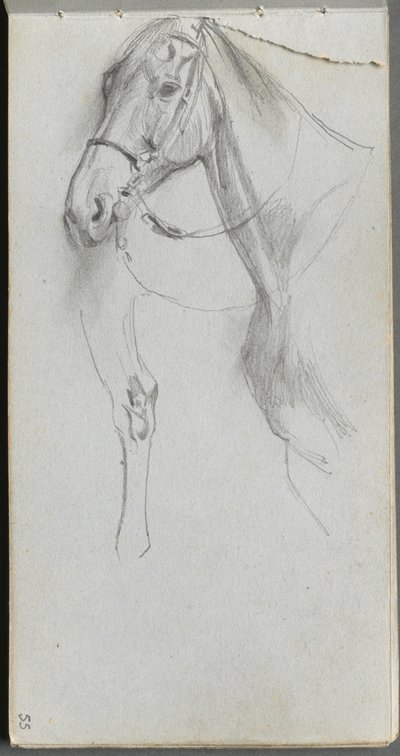 Sketchbook, page 55: Study for a Horse de Ernest Meissonier