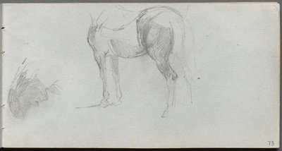Sketchbook, page 73: Study of a Horse, profile de Ernest Meissonier
