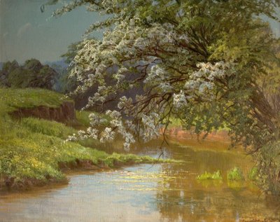 Flor de mayo, 1910 de Ernest Owen Cooke