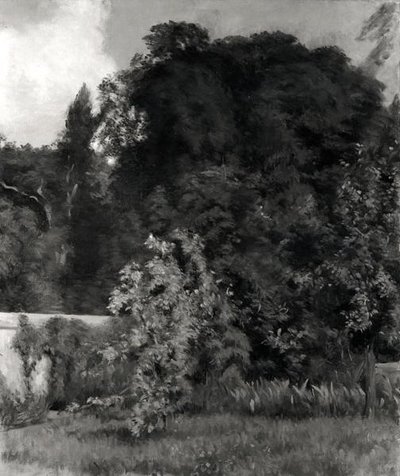 Los terrenos en Queue-en-Brie de Ernest Rouart