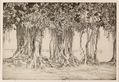 El Árbol de Banyan de Ernest Stephen Lumsden