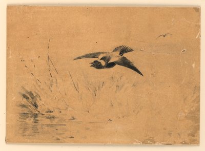 Bobolink de Ernest Thompson Seton