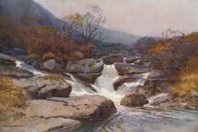 Un arroyo de Dartmoor (litografía en color) de Ernest William Haslehust