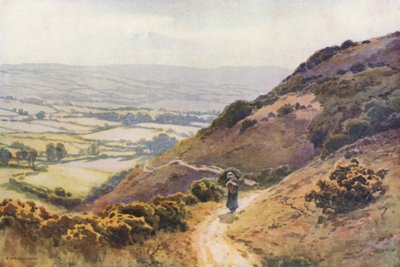 Ballard Down, Swanage (litografía en color) de Ernest William Haslehust
