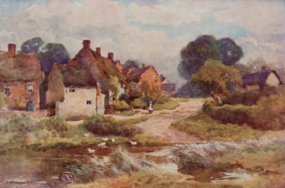 "Beggarly Broom" (litografía en color) de Ernest William Haslehust