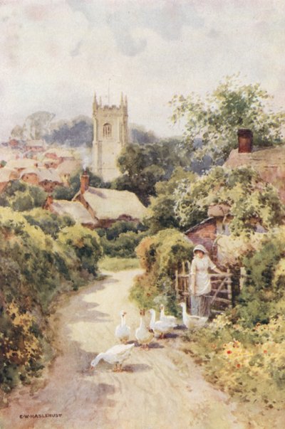Bere Regis (litografía en color) de Ernest William Haslehust