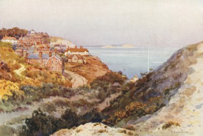 Boscombe Chine (litografía en color) de Ernest William Haslehust