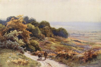 Burley Moor (litografía en color) de Ernest William Haslehust