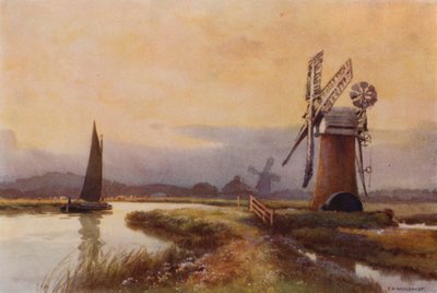 Molinos de drenaje en la Hormiga (litografía en color) de Ernest William Haslehust