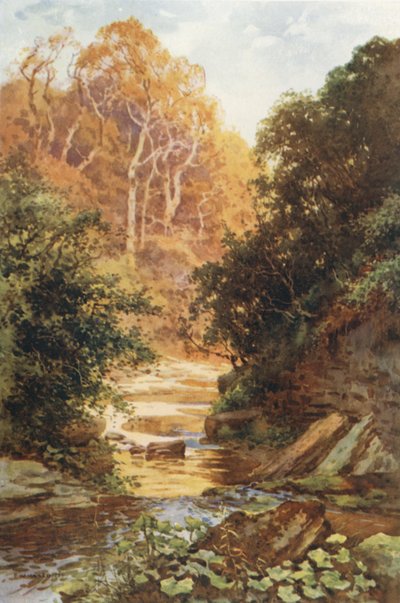 Hayburn Wyke (litografía en color) de Ernest William Haslehust