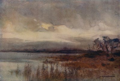 Hickling Broad (litografía en color) de Ernest William Haslehust
