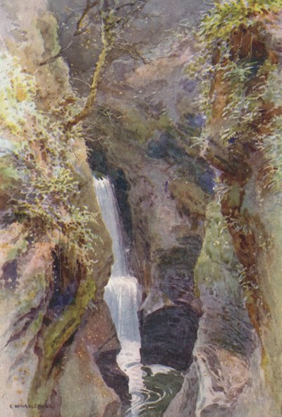 Garganta de Lydford (litografía en color) de Ernest William Haslehust