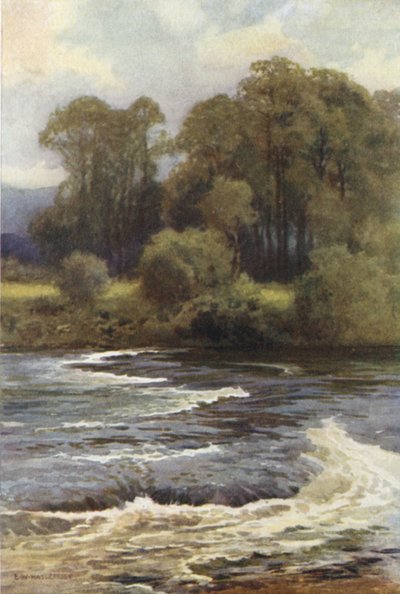 Cataratas de Monnington (litografía en color) de Ernest William Haslehust