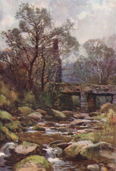 Ockery Bridge, cerca de Princetown (litografía en color) de Ernest William Haslehust