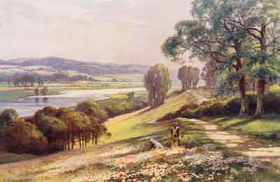 Río Támesis: Bourne End desde Quarry Hill (litografía en color) de Ernest William Haslehust