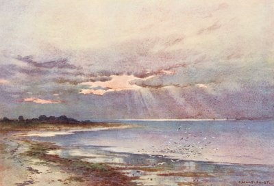 Río Támesis: Mirando hacia el sur hasta el Nore (litografía en color) de Ernest William Haslehust