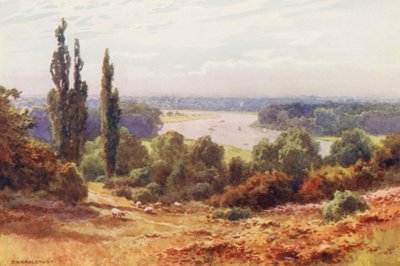 Río Támesis: El Támesis, desde Richmond Hill (litografía en color) de Ernest William Haslehust