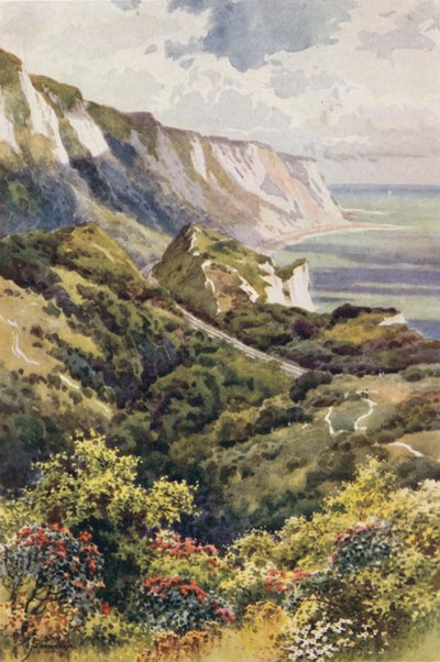 The Warren, Folkestone (litografía en color) de Ernest William Haslehust