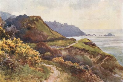 Ventnor desde el Steephill Walk (litografía en color) de Ernest William Haslehust