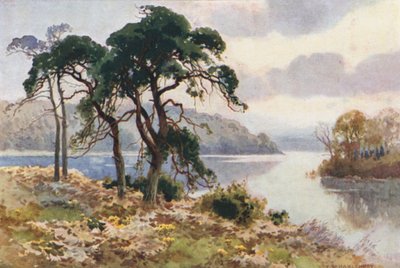 Virginia Water (litografía en color) de Ernest William Haslehust