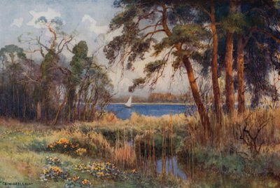 Wroxham Broad, principios de la primavera (litografía en color) de Ernest William Haslehust