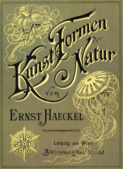 Portada de "Kunstformen der Natur" de Ernst Heackel de Ernst (after) Haeckel