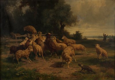 oveja de Ernst Adolph Meissner