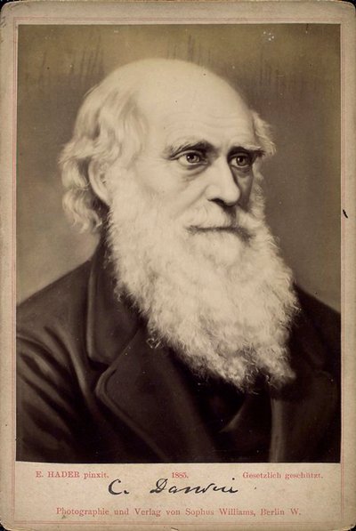 Charles Darwin, naturalista británico, c. 1860s-c. 1870s de Ernst Hader