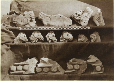 Excavación de Samarra (Irak): Fragmentos de un Friso con Figuras de Camellos, del Palacio del Califa de Ernst Herzfeld