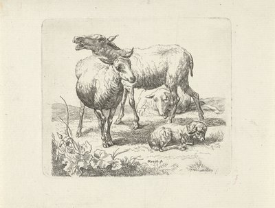 Tres ovejas y un cordero en un prado de Ernst Ludwig Creite