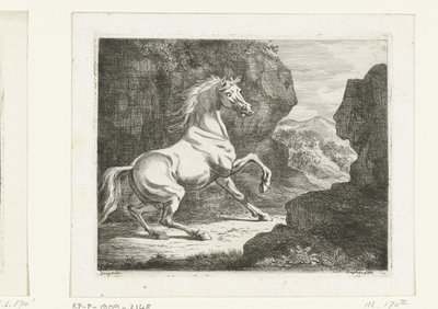 Semental blanco rebotando de Ernst Willem Jan Bagelaar
