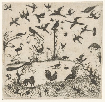 Aves Schweifwerk Ornaments for Silversmiths (título de la serie) de Esaias van Hulsen