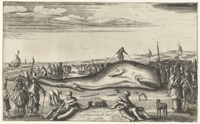 Cachalote varado en la playa de Noordwijk, 1614 de Esaias van de Velde