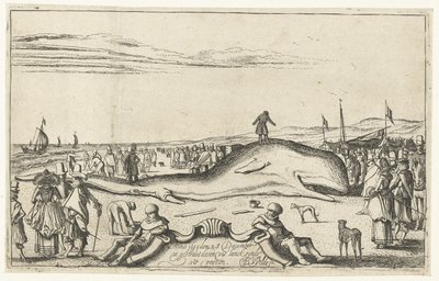 Ballena varada en la playa de Noordwijk, 1614 de Esaias van de Velde