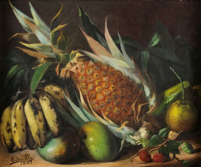 Naturaleza muerta de Estevao Roberto da Silva