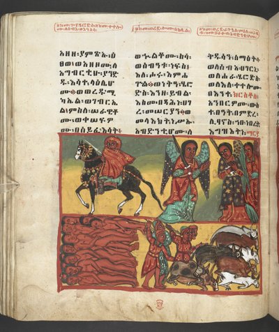 O. 607 f047v, Escena de la vida de la Virgen María, de 